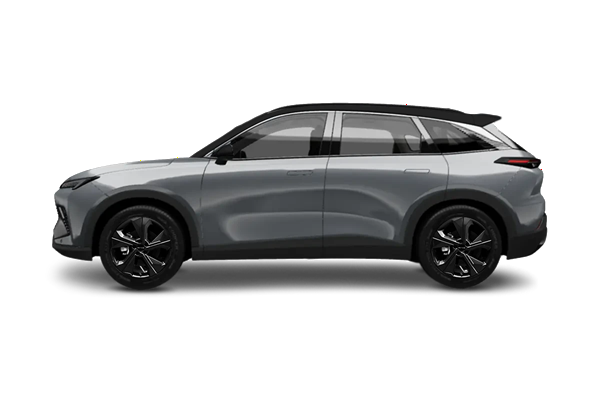Platinum Gray